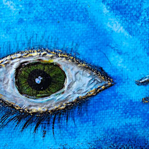 Eye Catching by April Popko 