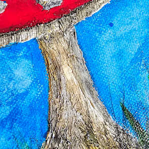 Eye Catching by April Popko 