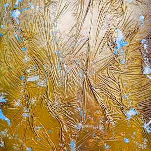 Breaking Through by April Popko 