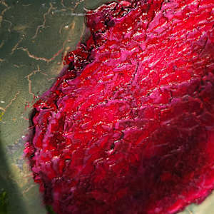 Peony by April Popko, Image 17.