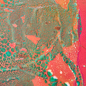 Chameleon by April Popko 