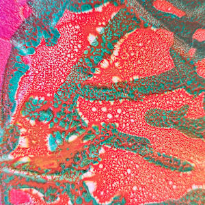 Chameleon by April Popko 