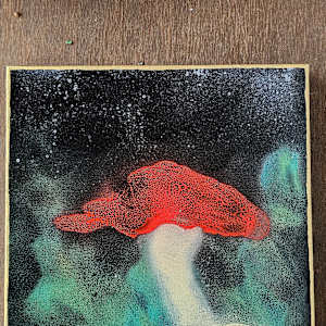 Amanita's Dream by April Popko 