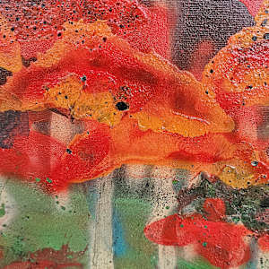 Hidden Treasures by April Popko 