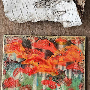 Hidden Treasures by April Popko 