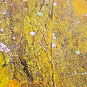 Orange Pill by April Popko, Image 7.