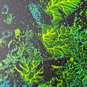 Seed by April Popko, Image 4.