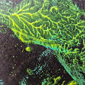Seed by April Popko, Image 6.