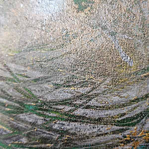 Nest Egg by April Popko, Image 2.