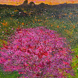 Jacaranda by April Popko, Image 12.