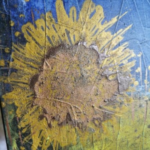 Sunflower Seeds 