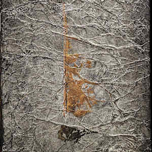 Rock by April Popko 
