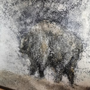 Bison by April Popko 