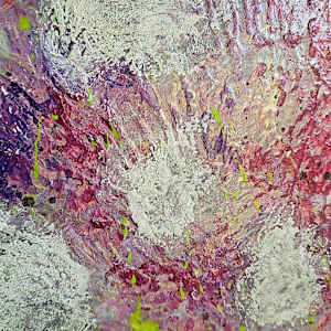 Cotton by April Popko 