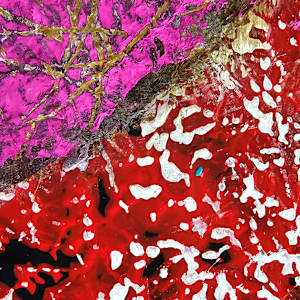 Cracking by April Popko 