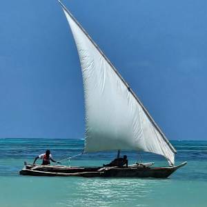 Zanzibar by April Popko 