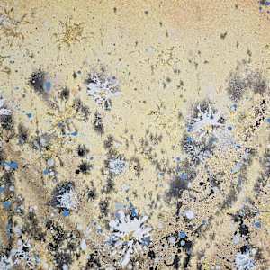 Stellar Daisies by April Popko 