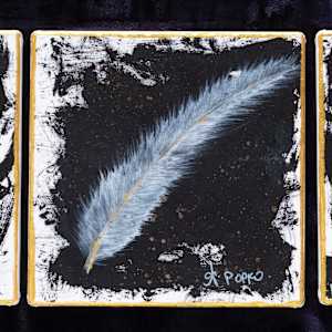 Feather 3 by April Popko 