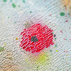 Eye Poppy by April Popko 