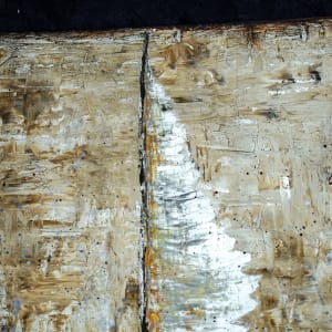 Leather Sail by April Popko 
