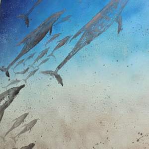 Swimming With Dolphins by April Popko 