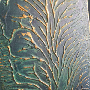 Kelp 