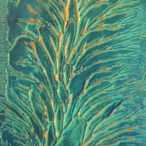 Kelp 