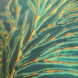 Kelp 
