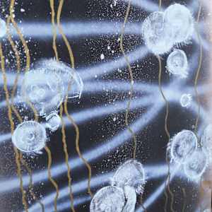 Effervescence by April Popko 