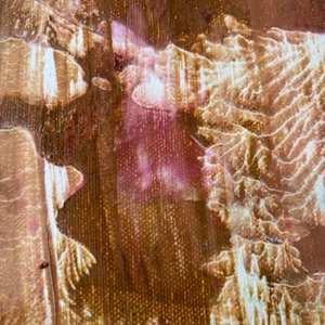 At The Cottage by April Popko, Image 1.