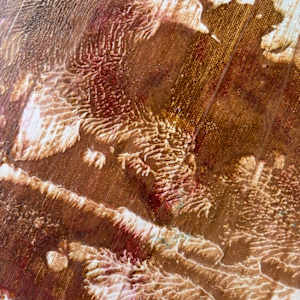 At The Cottage by April Popko, Image 5.