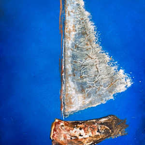 TransparenSEA by April Popko, Image 2.