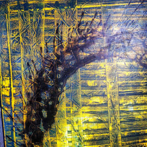 I Get It Now by April Popko, Image 7.