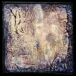 Provence by April Popko 