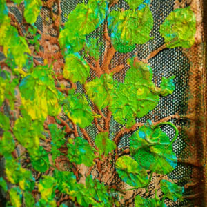 Quaking Aspen 