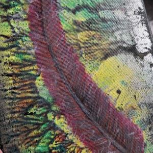 Red Understory 