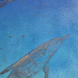 Swimming With Dolphins by April Popko 