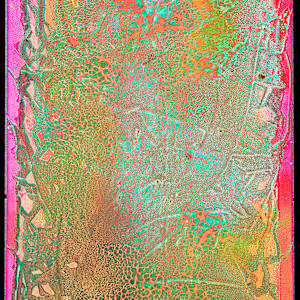 Chameleon by April Popko
