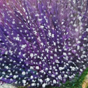 Fairy Dust by April Popko 