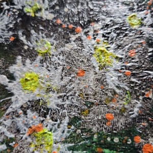 Dandelion Fluff by April Popko 