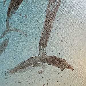 Swimming With Dolphins by April Popko 