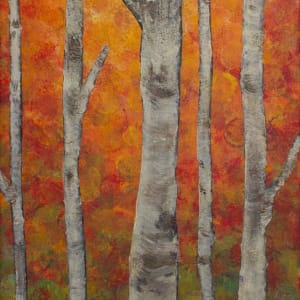Orange Birch Forest 