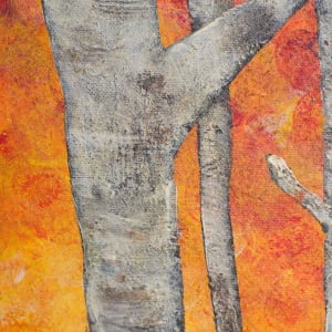 Orange Birch Forest 