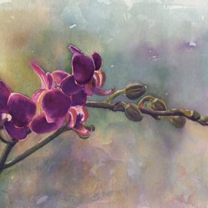 Orchid 2 by Michele Tabor Kimbrough