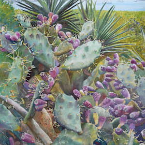 Prickly Pear View by Michele Tabor Kimbrough