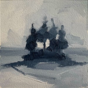 Island Study 1