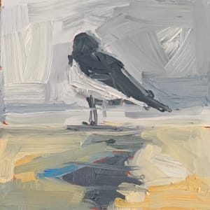 Plover 2, Image 1.