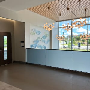 Light Forms - Northside Hospital Medical Building, Atlanta, GA by Jane Guthridge 