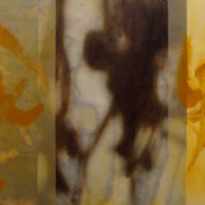 In praise of shadows 15 by Jane Guthridge