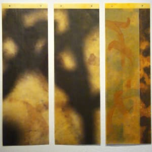 In praise of shadows triptych by Jane Guthridge